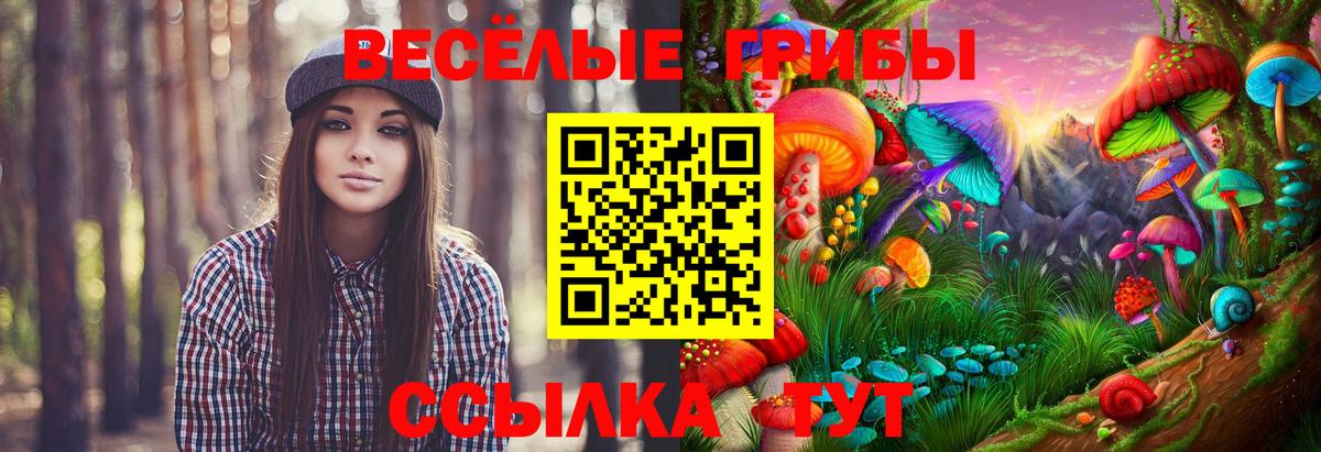 Псилоцибиновые грибы мухоморы Губкин